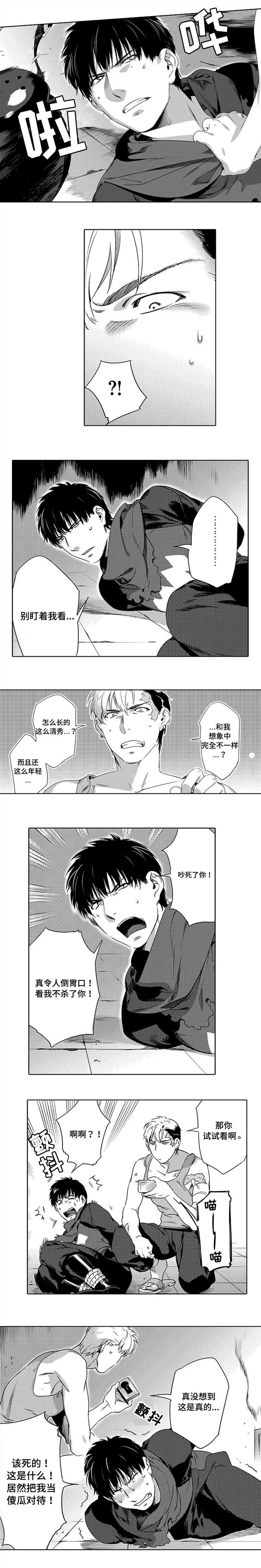 第2章：致命弱点