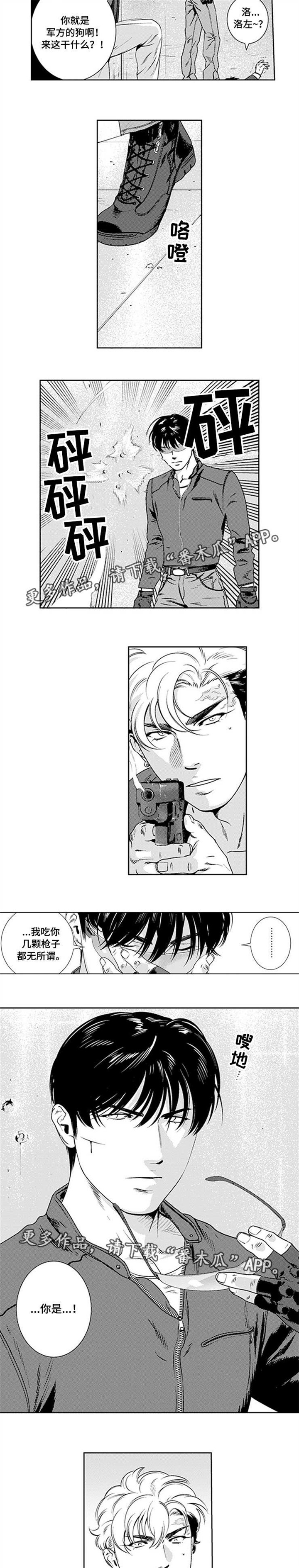 第21章：特种部队