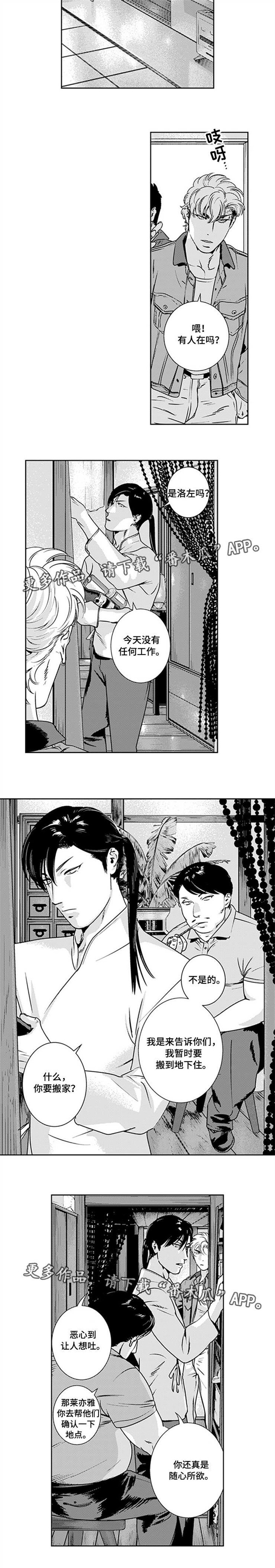 第27章：逃避追捕