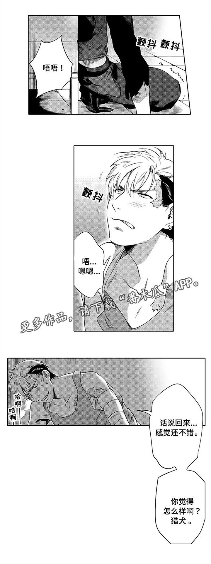 第3章：接受建议