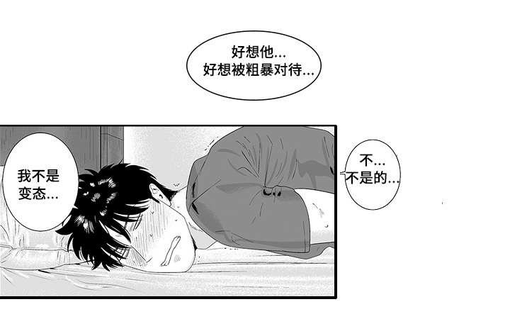 第32章：好想他啊