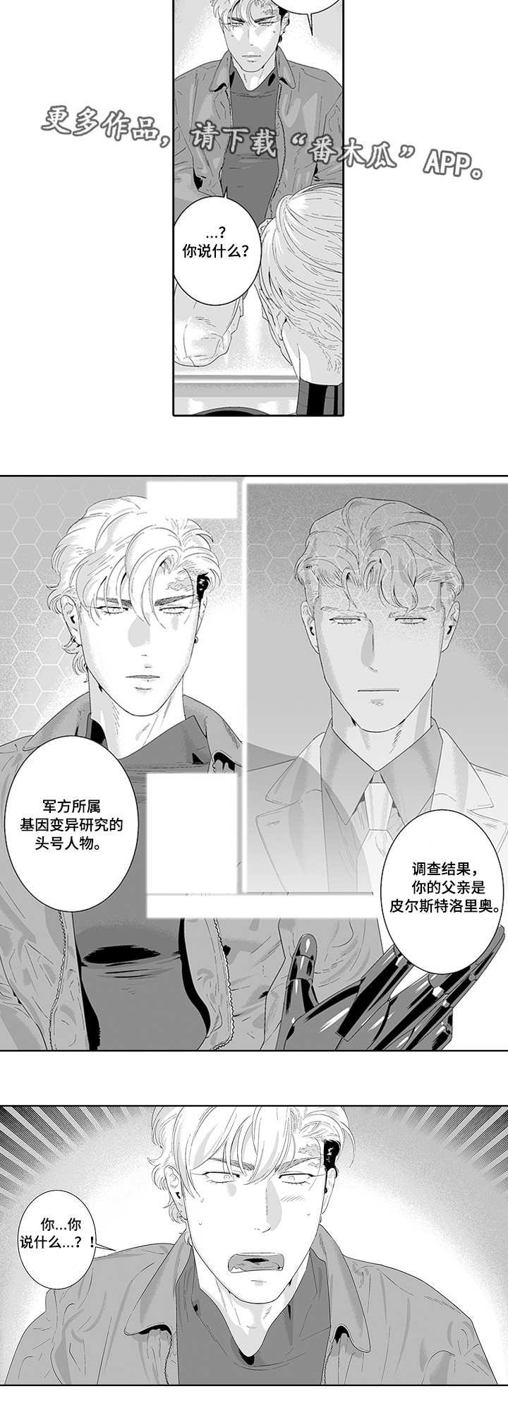 第33章：一起合作