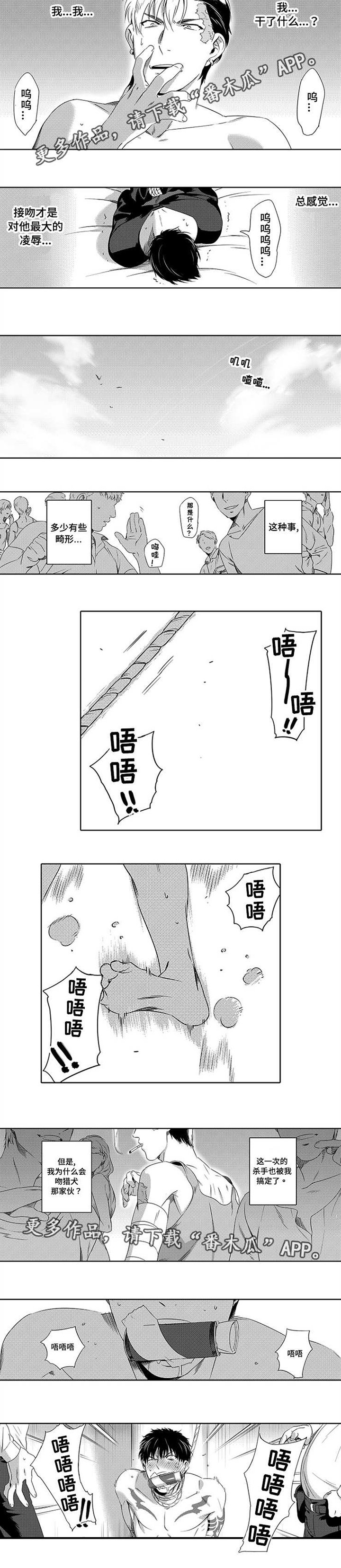 第5章：一战成名
