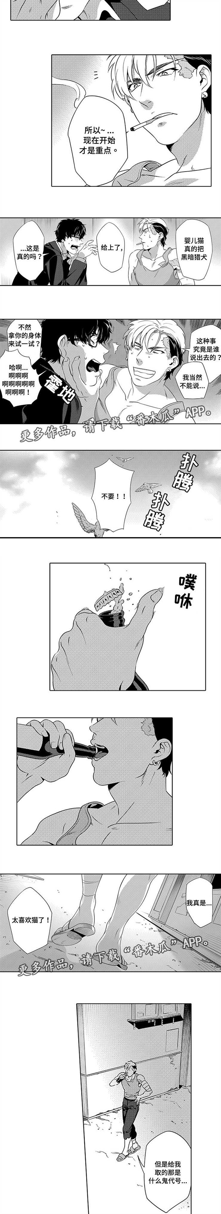 第5章：一战成名
