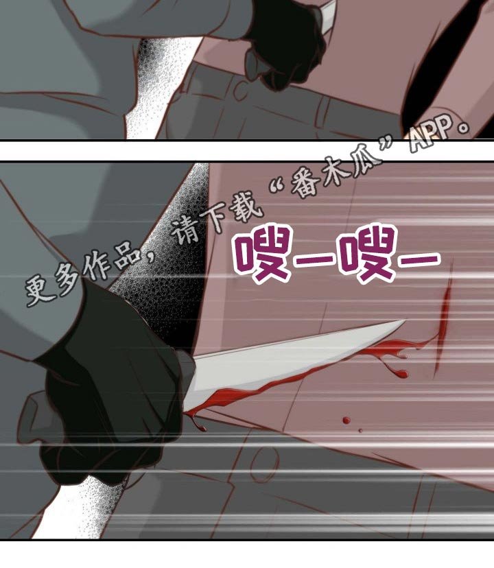第70章：刺伤