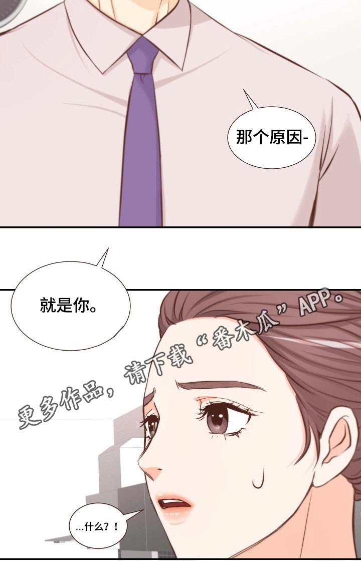 第71章：原因