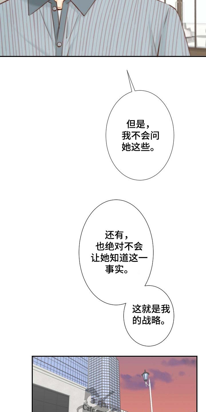 第75章：战略