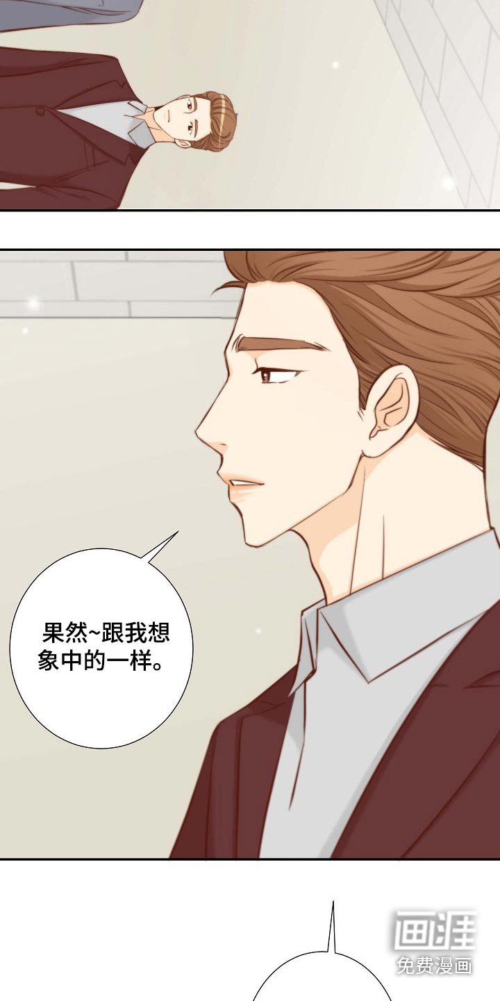 第86章：和解