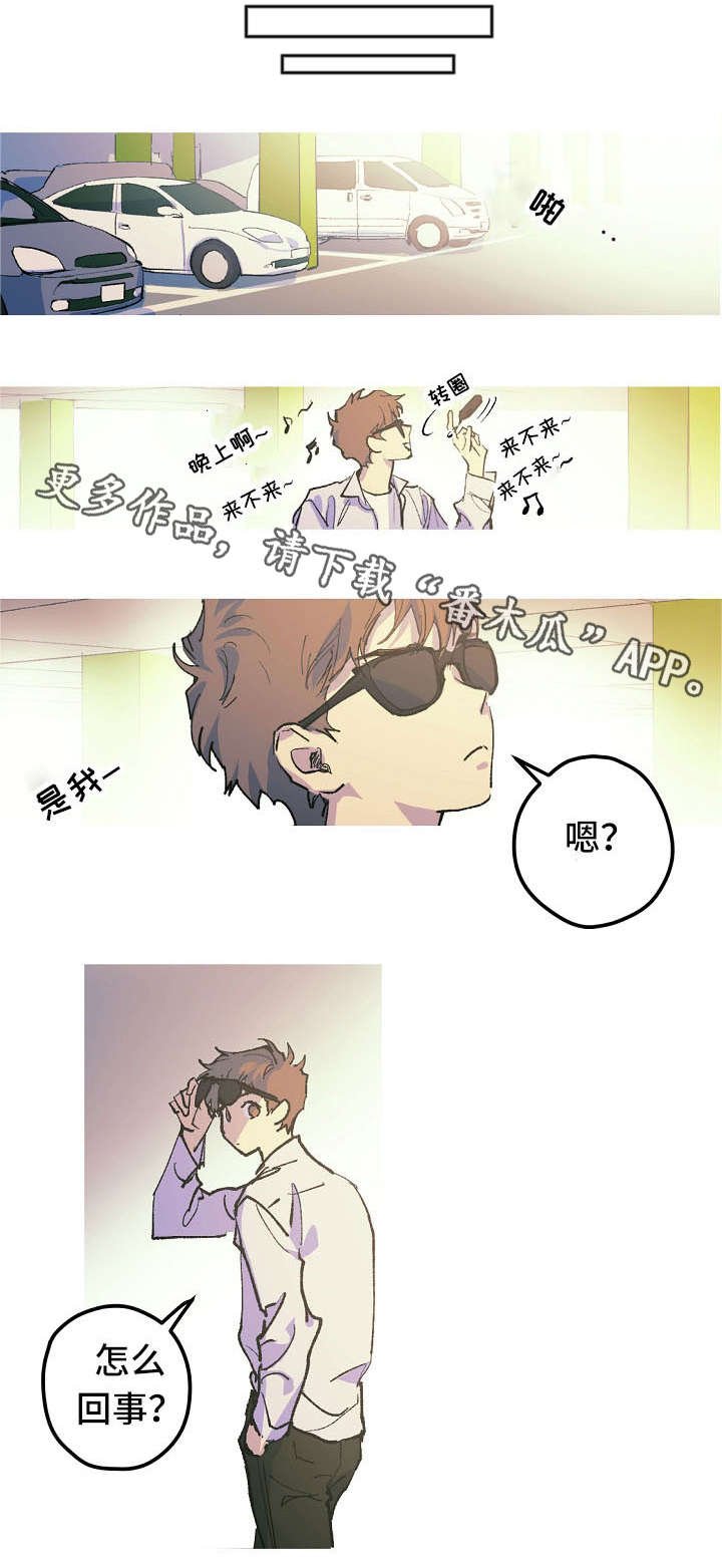 第11章：停车场的猫