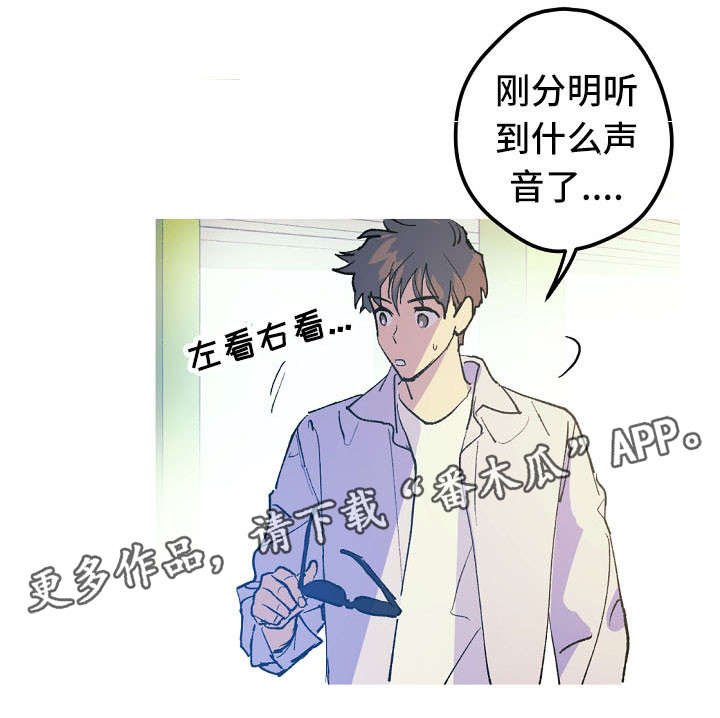 第11章：停车场的猫