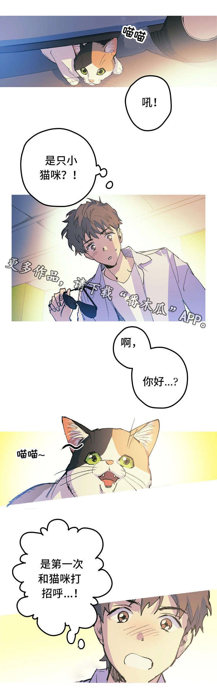 第11章：停车场的猫