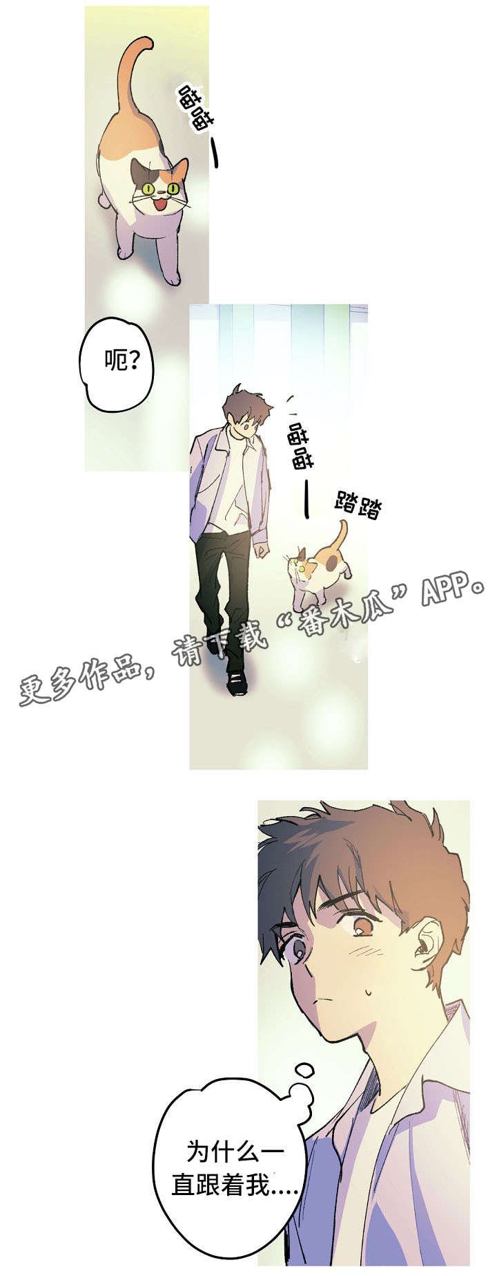 第11章：停车场的猫