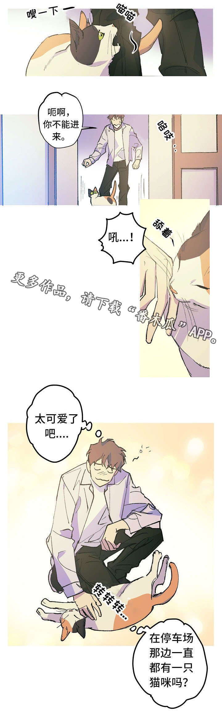 第12章：这是什么？
