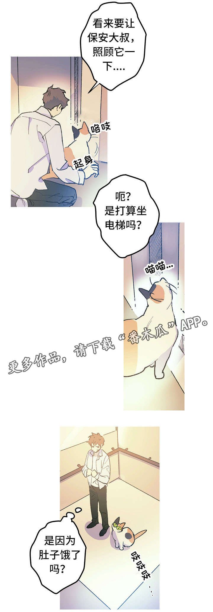 第12章：这是什么？