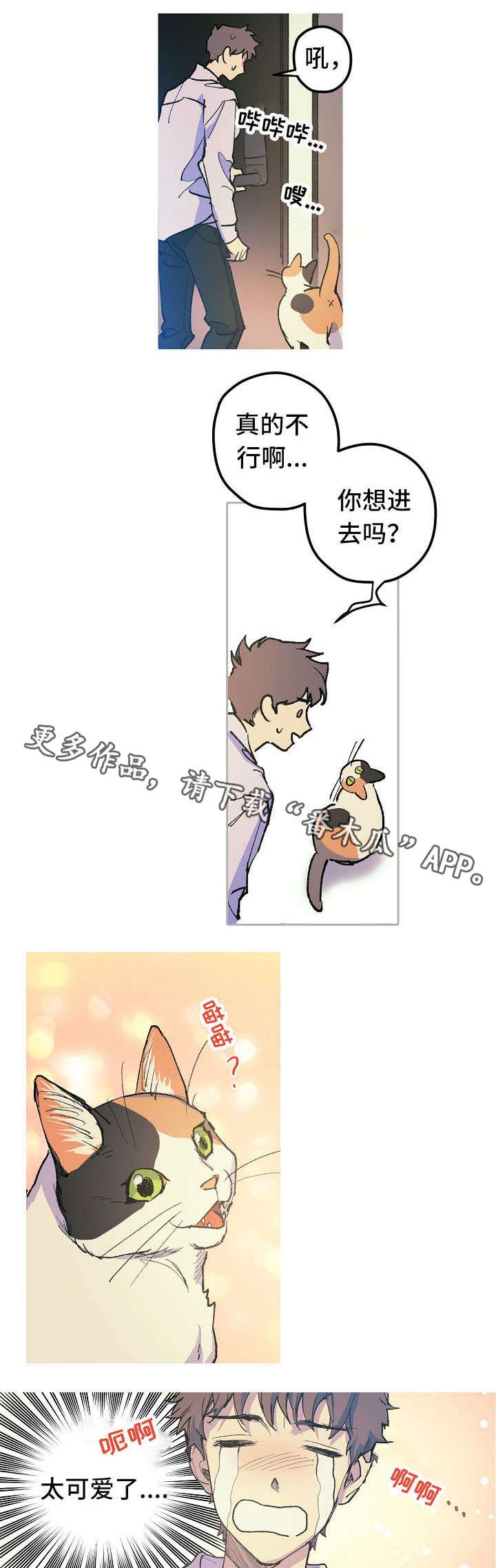 第12章：这是什么？