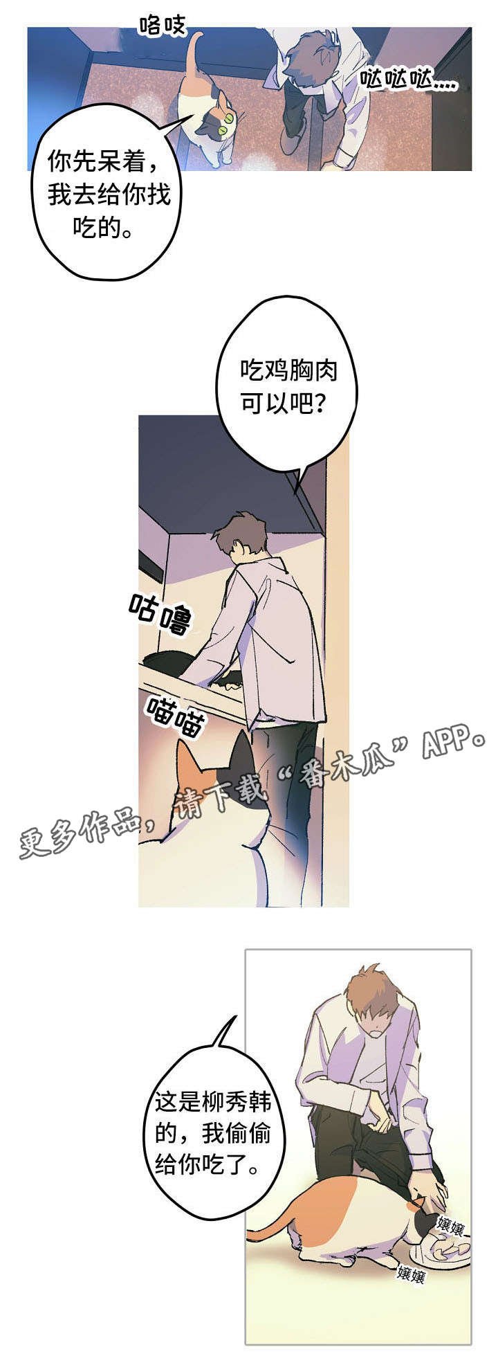 第12章：这是什么？