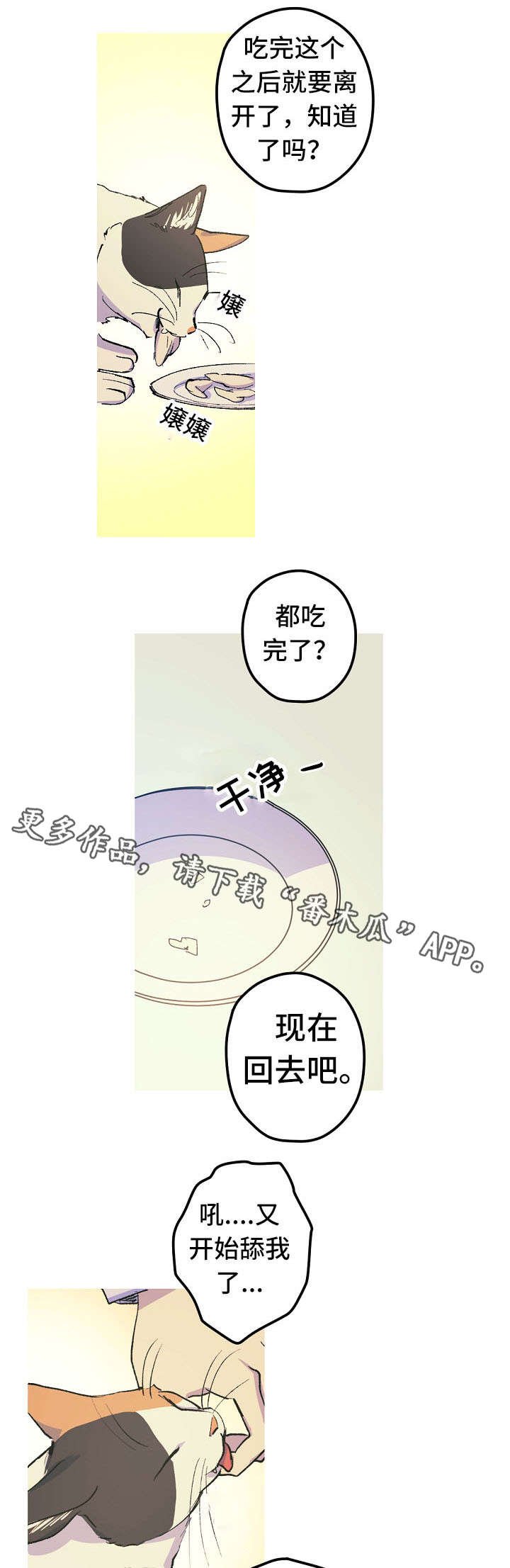第12章：这是什么？