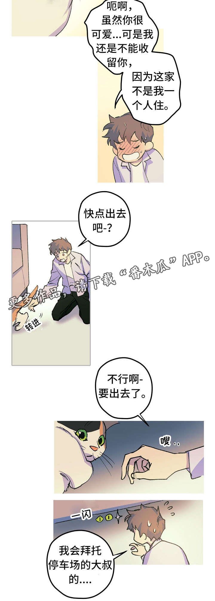 第12章：这是什么？