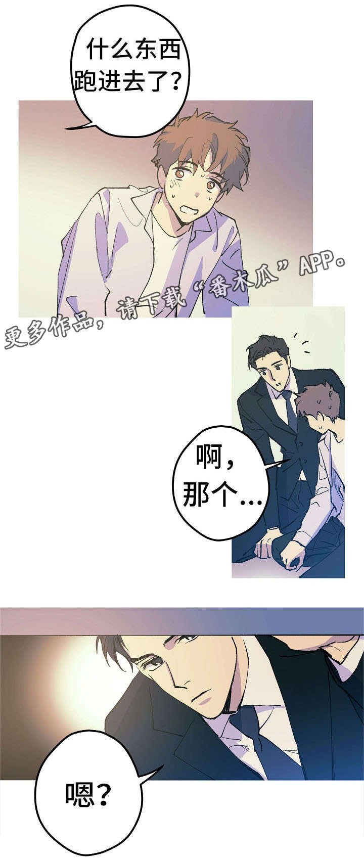 第12章：这是什么？