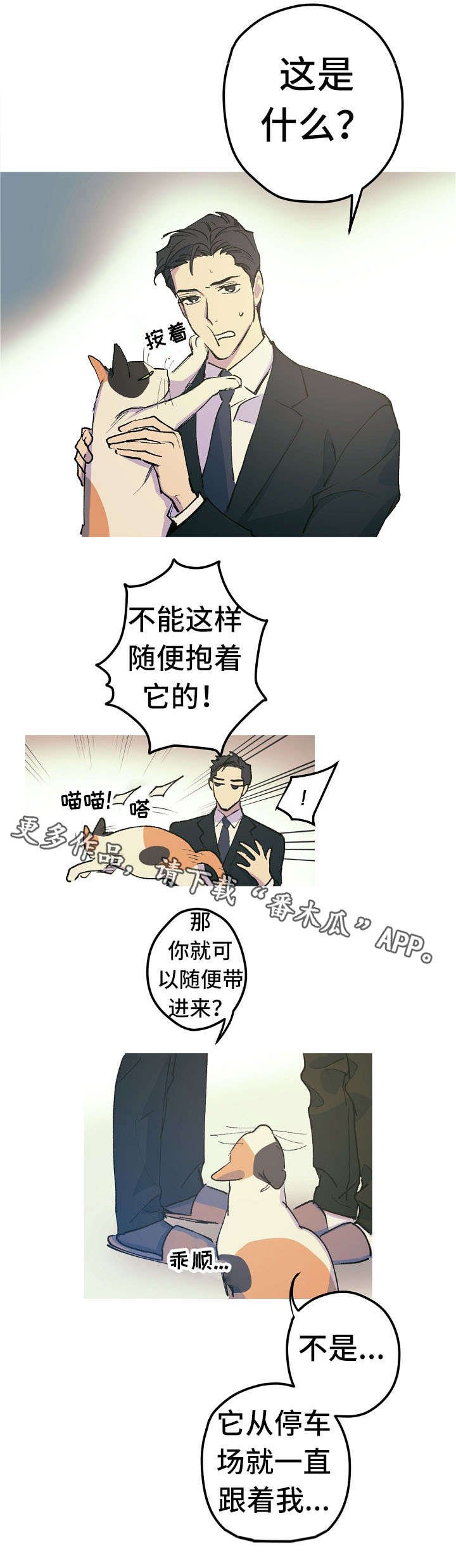 第12章：这是什么？