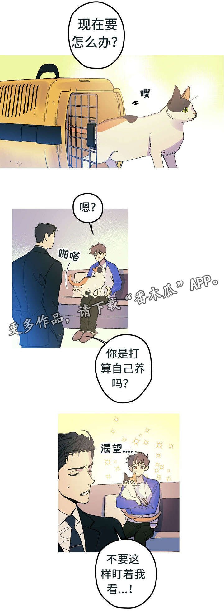 第13章：不喜欢动物