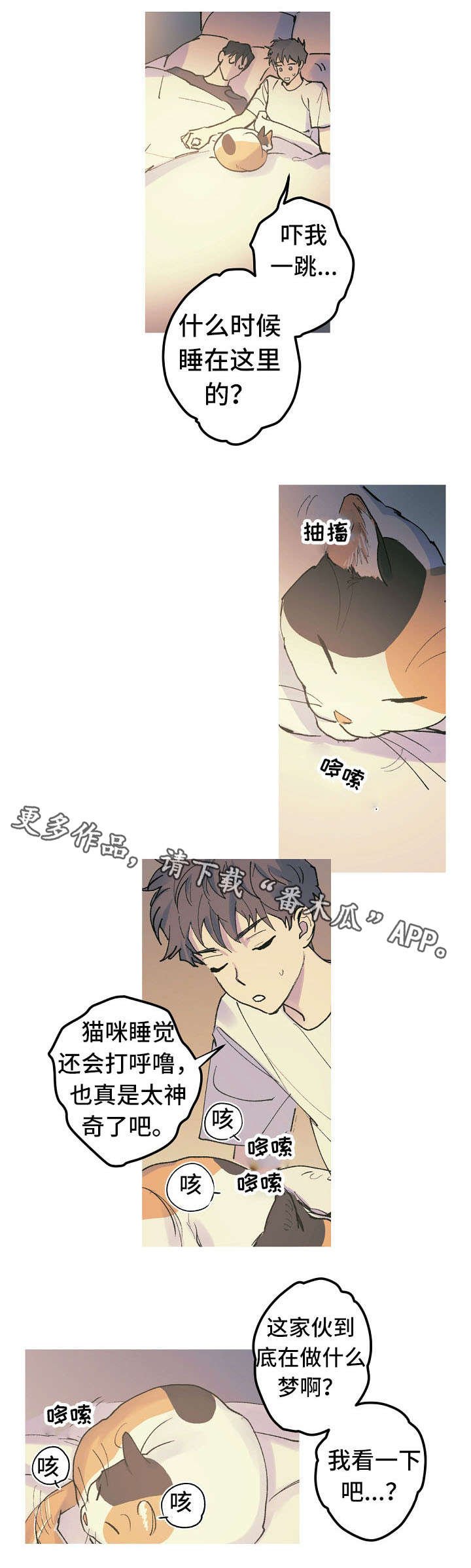 第14章：猫咪的梦