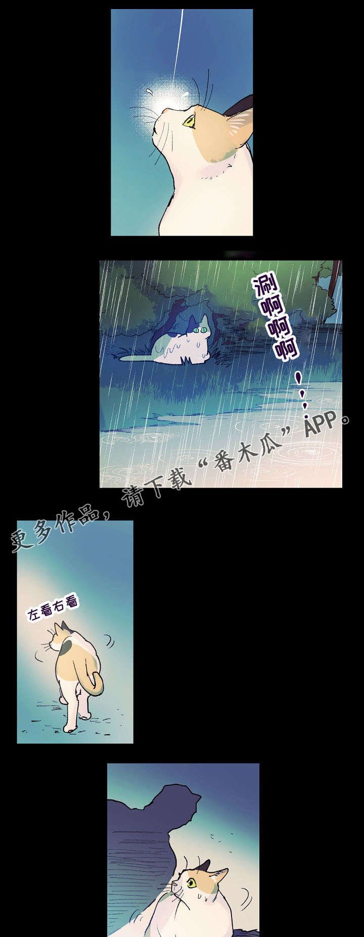 第14章：猫咪的梦