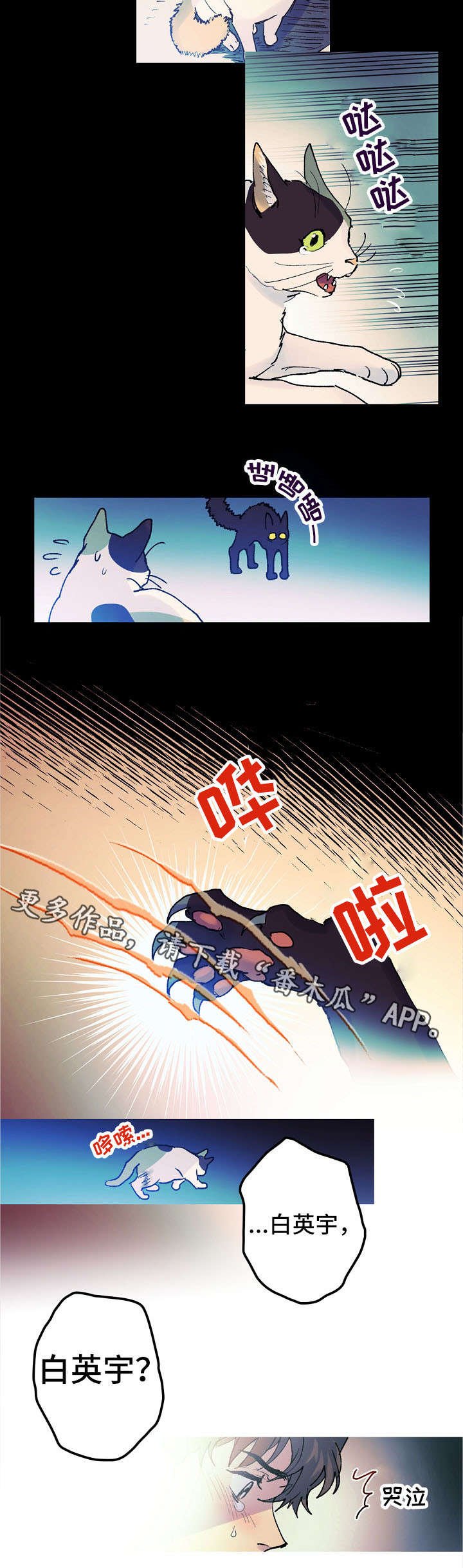 第14章：猫咪的梦