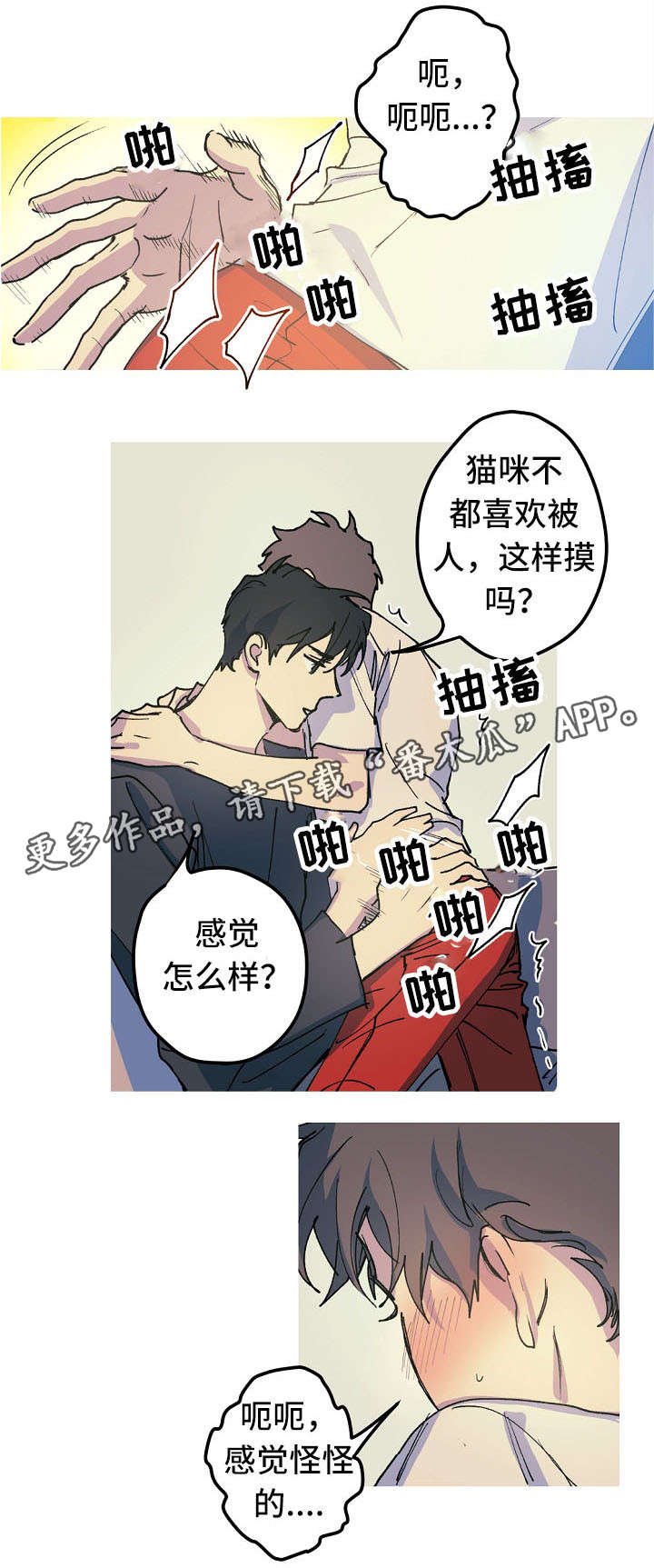 第17章：产崽