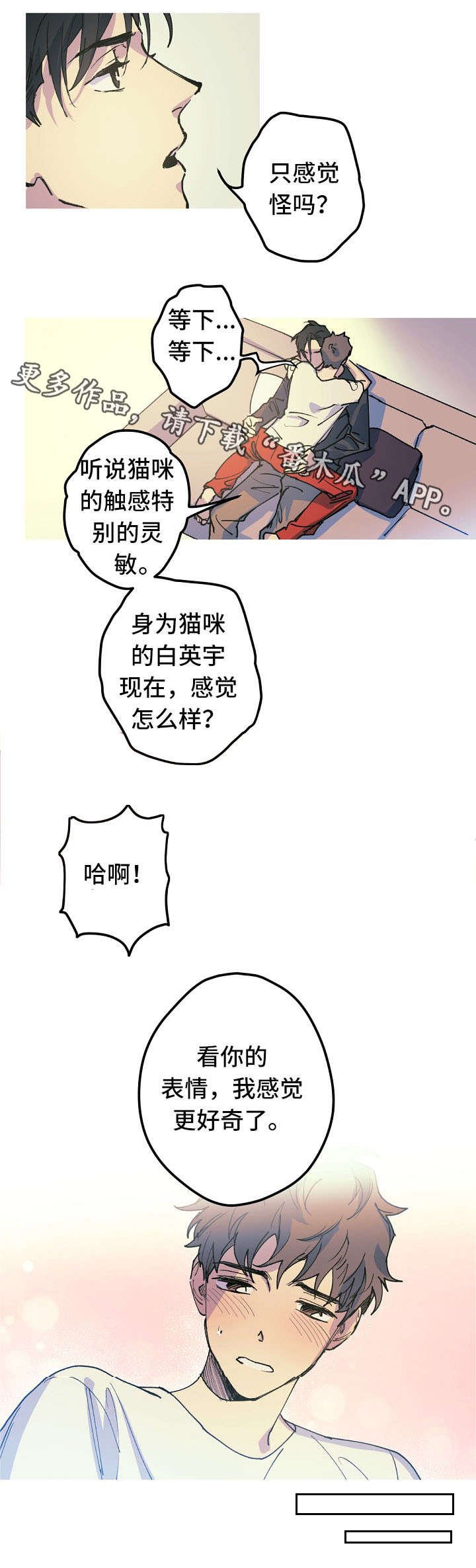 第17章：产崽