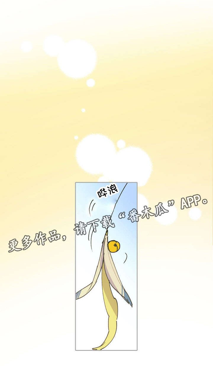 第17章：产崽