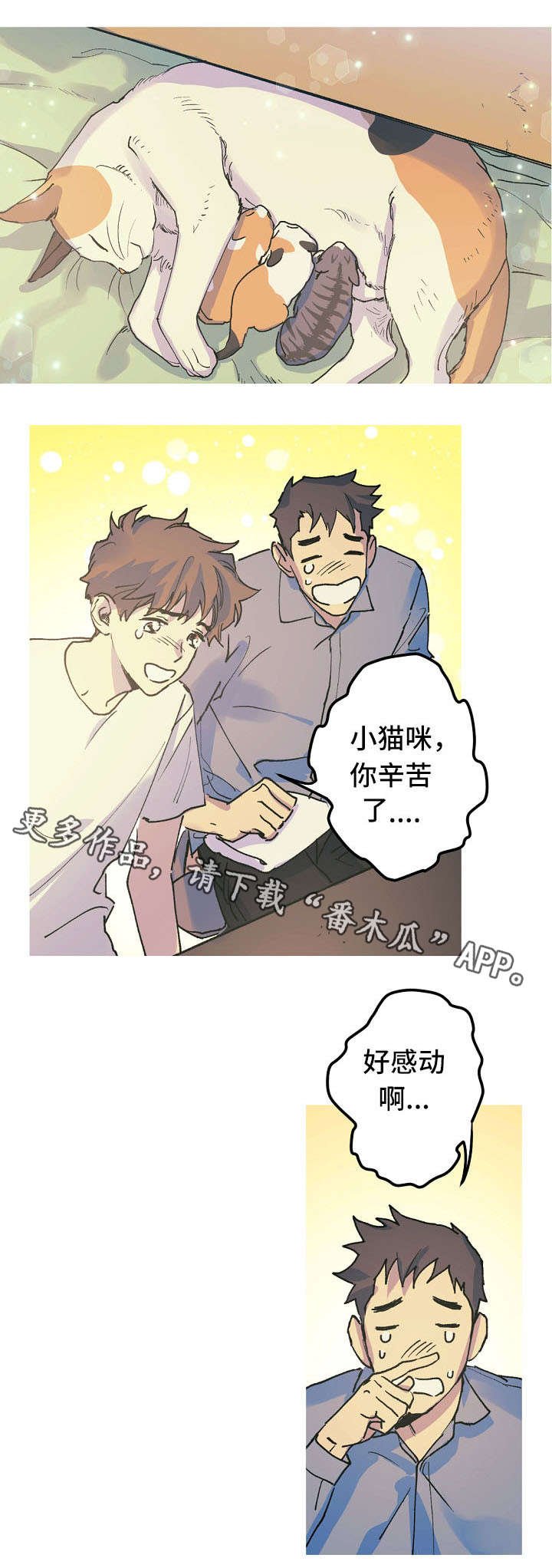 第17章：产崽