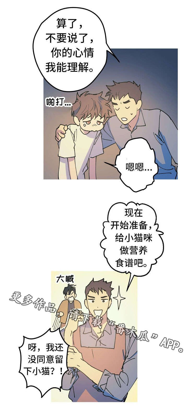 第17章：产崽