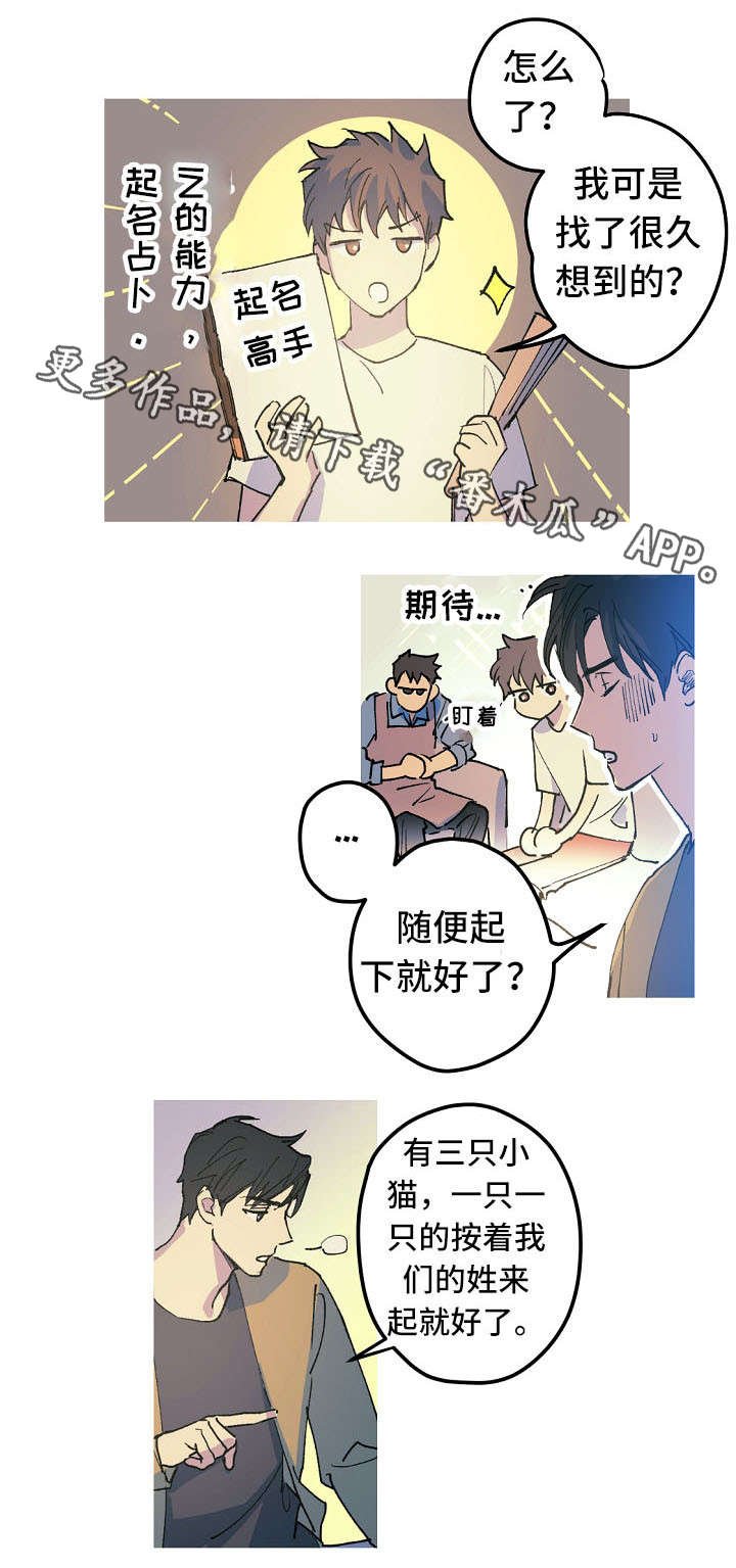 第18章：取名风波