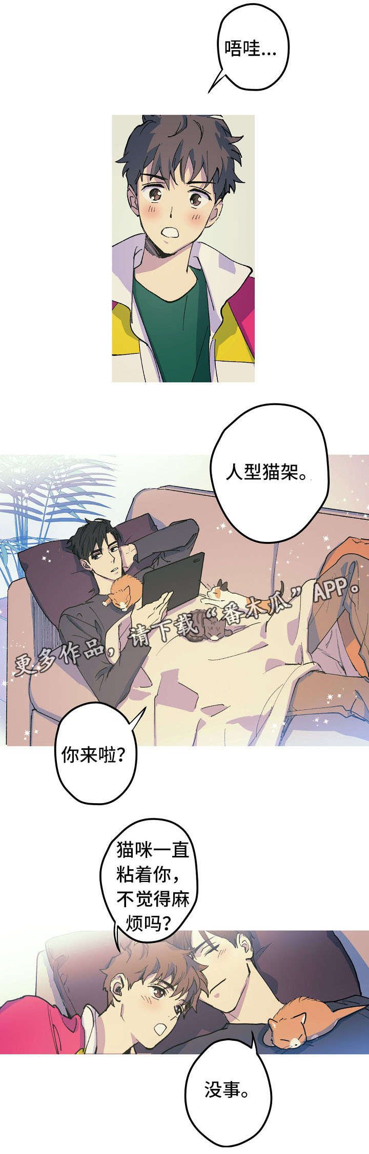 第19章：人形猫架