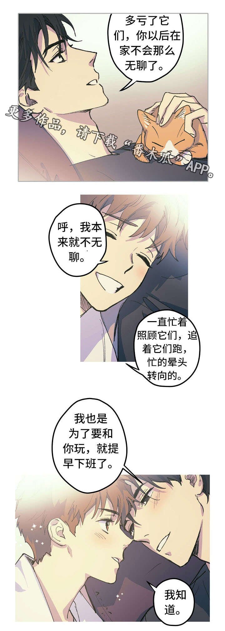 第19章：人形猫架