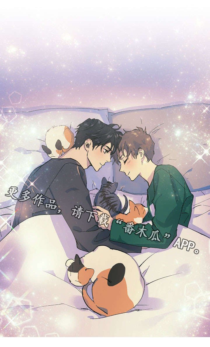 第19章：人形猫架