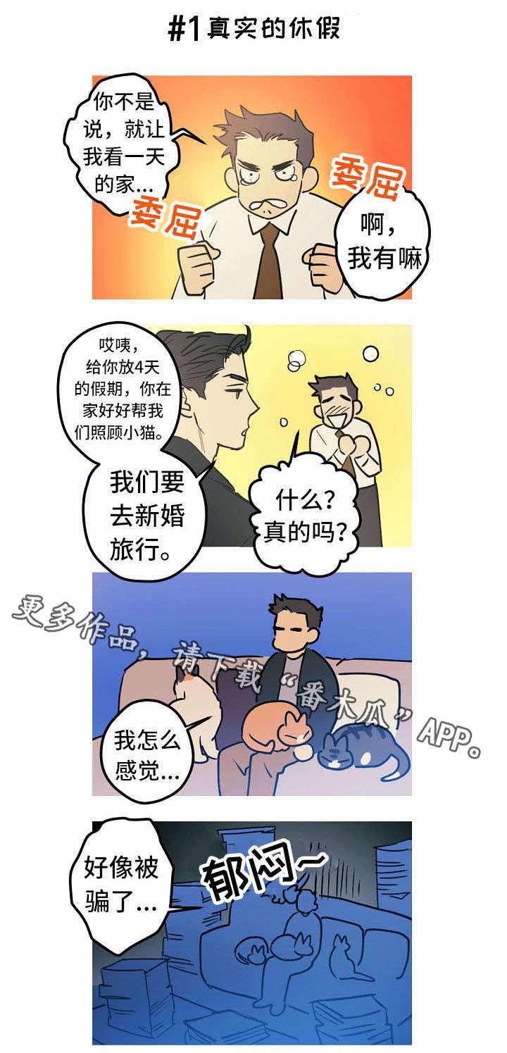 第27章：称呼（完结）