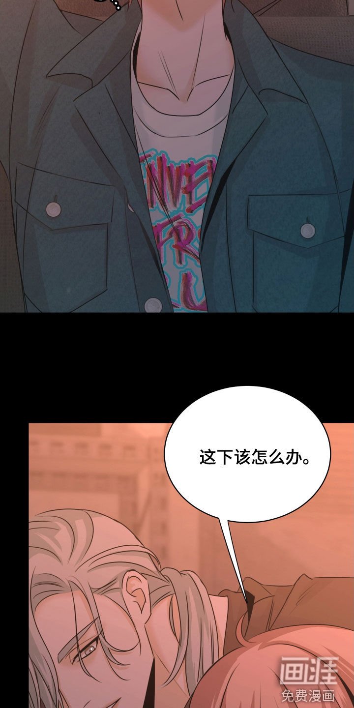 第19章：狗皮膏药