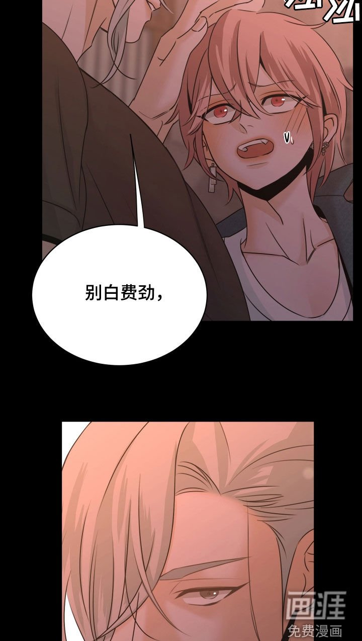 第20章：建议