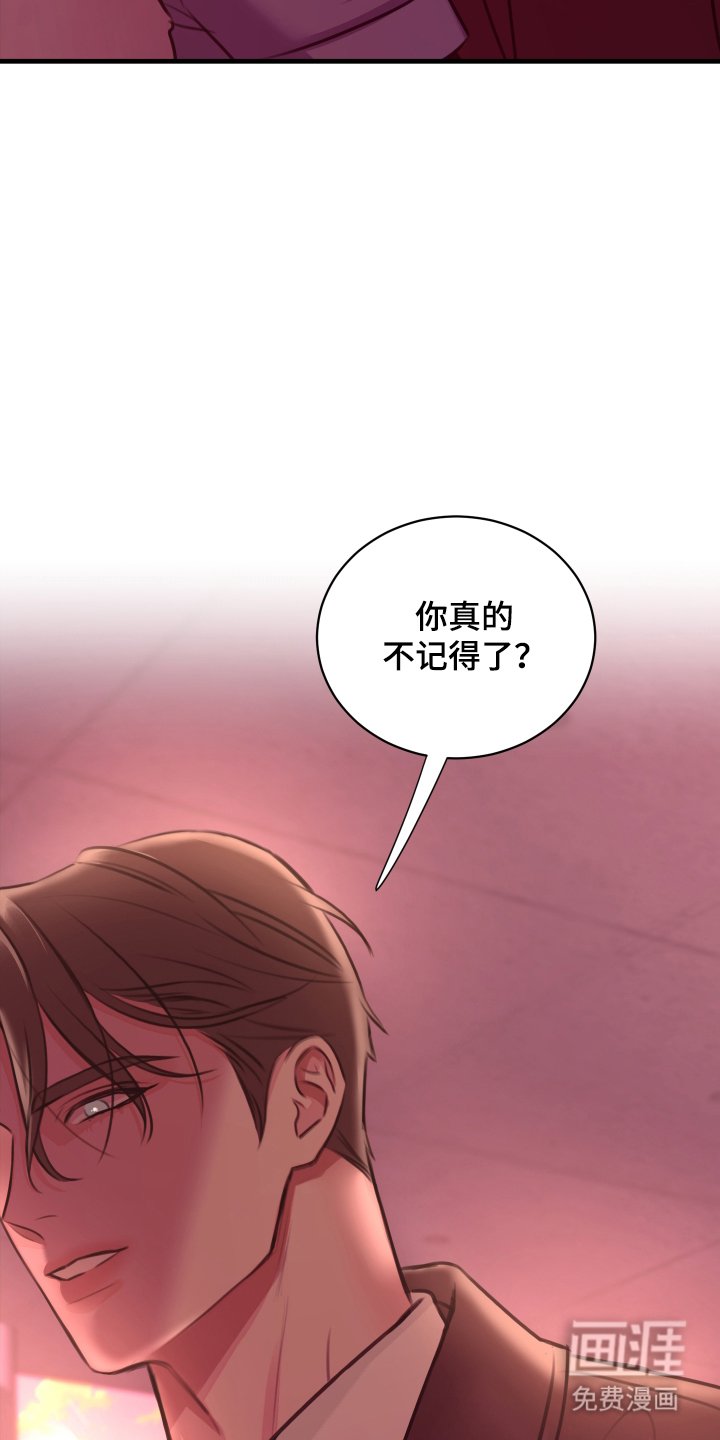 第6章：想起来