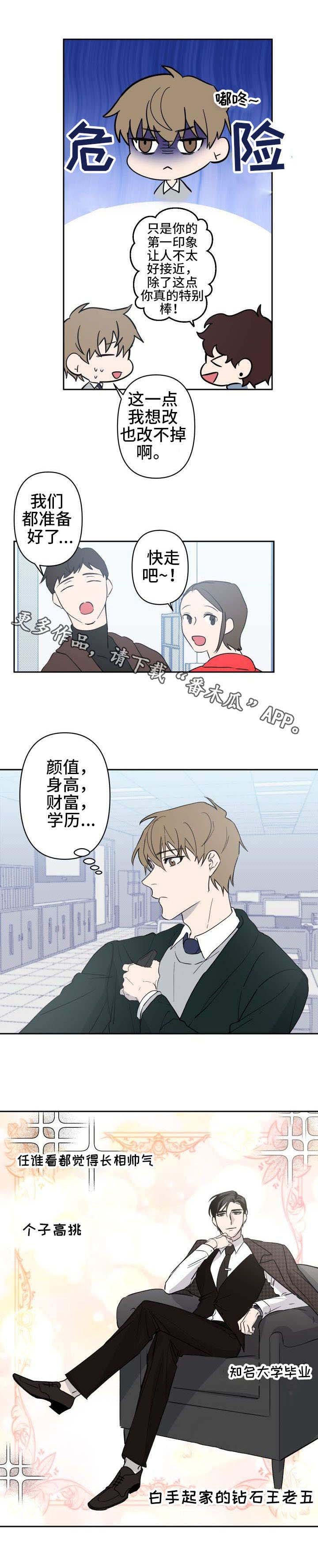 第11章：钻石王老五