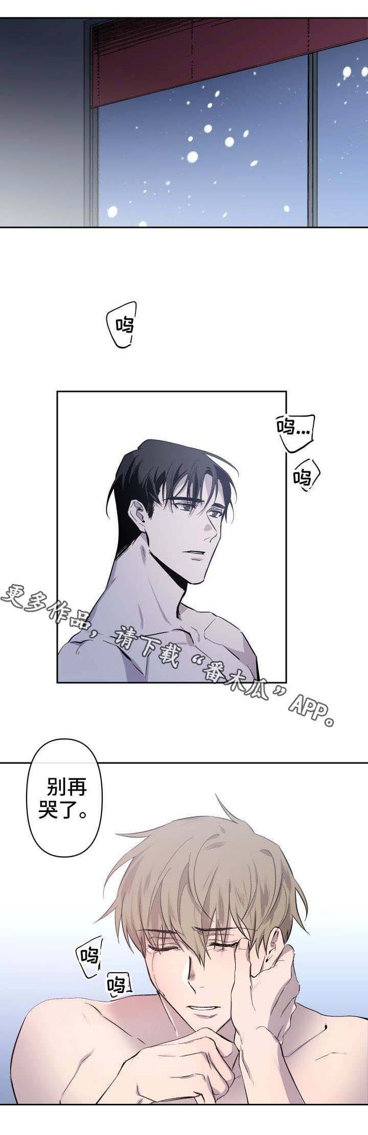 第15章：倾听