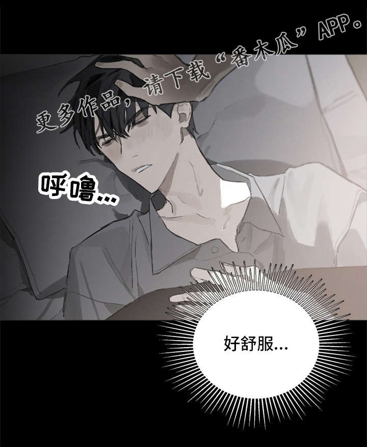 第12章：照料