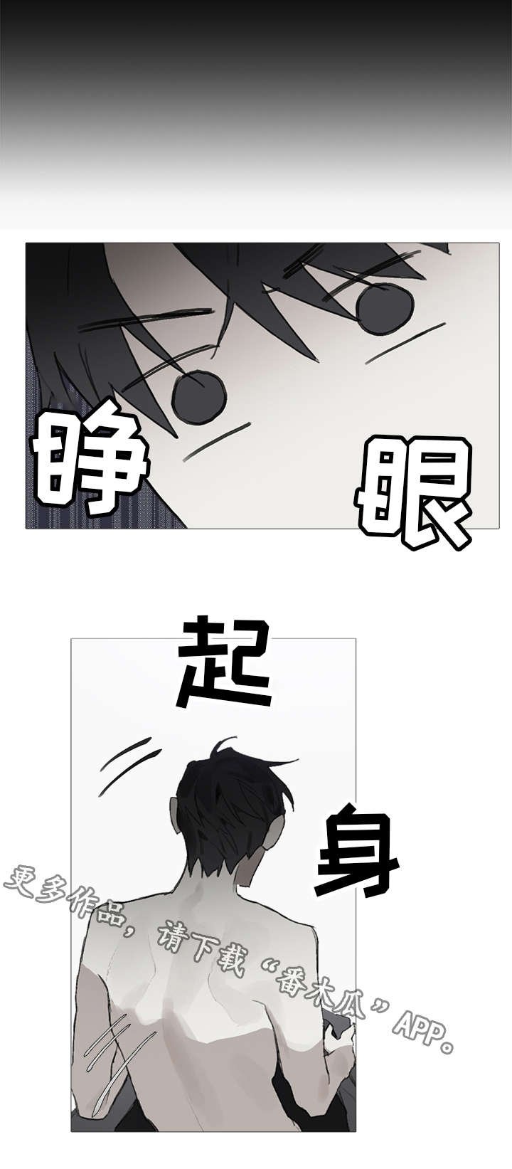 第12章：照料