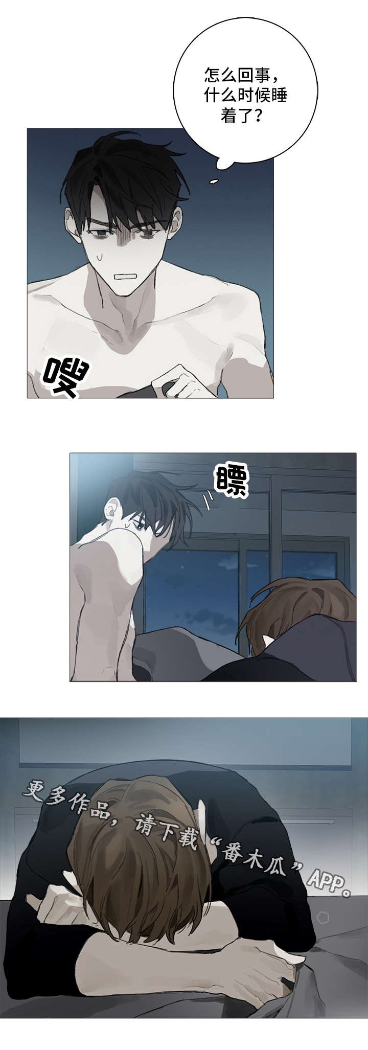 第12章：照料