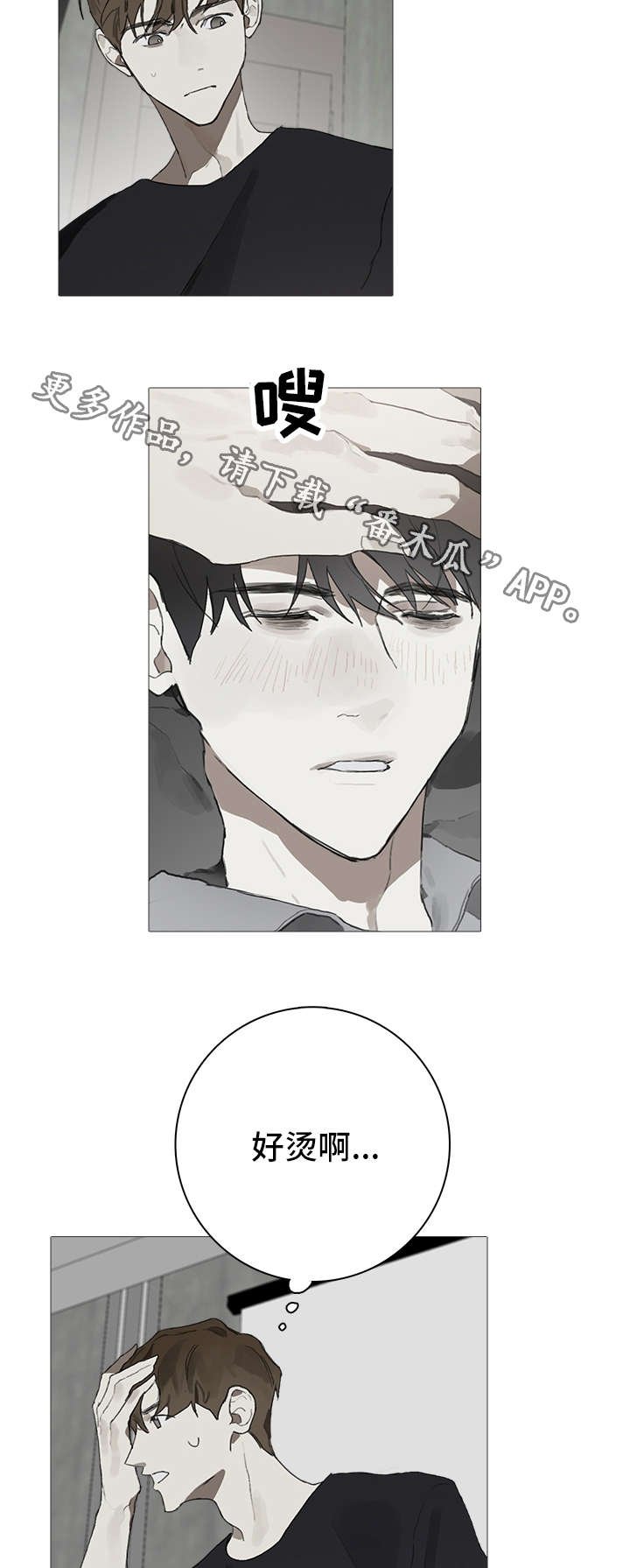 第12章：照料