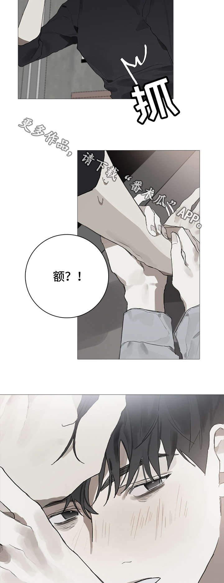 第12章：照料