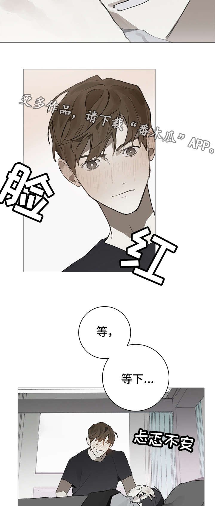 第12章：照料