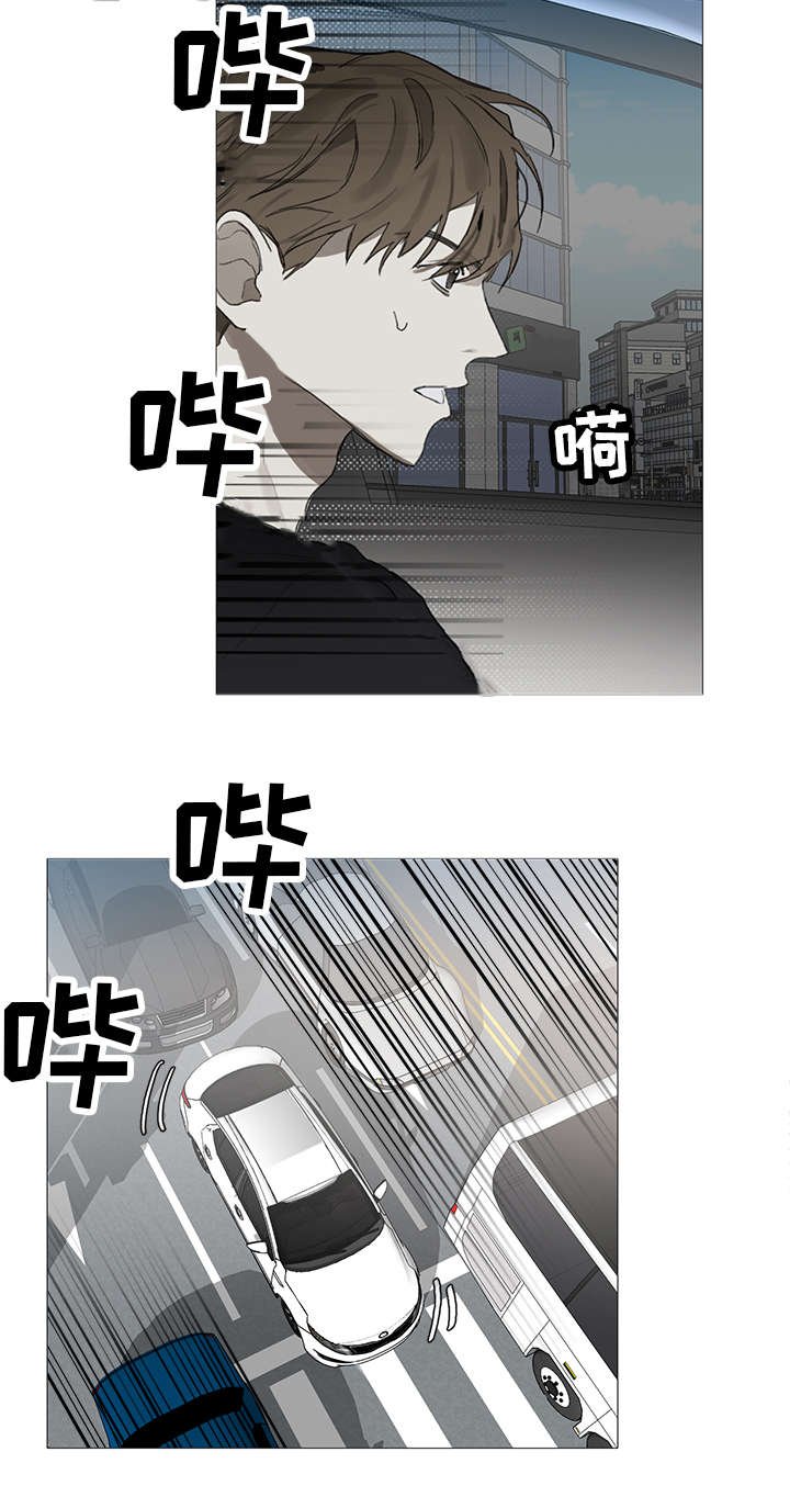 第17章：单纯